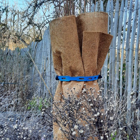 Pflanzen & Kabelbinder XL | aus Naturkautschuk