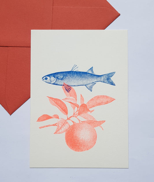 Grußkarte Fisch | Risodruck